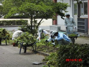 CIMG0551