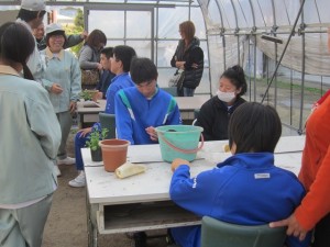 高体験花班