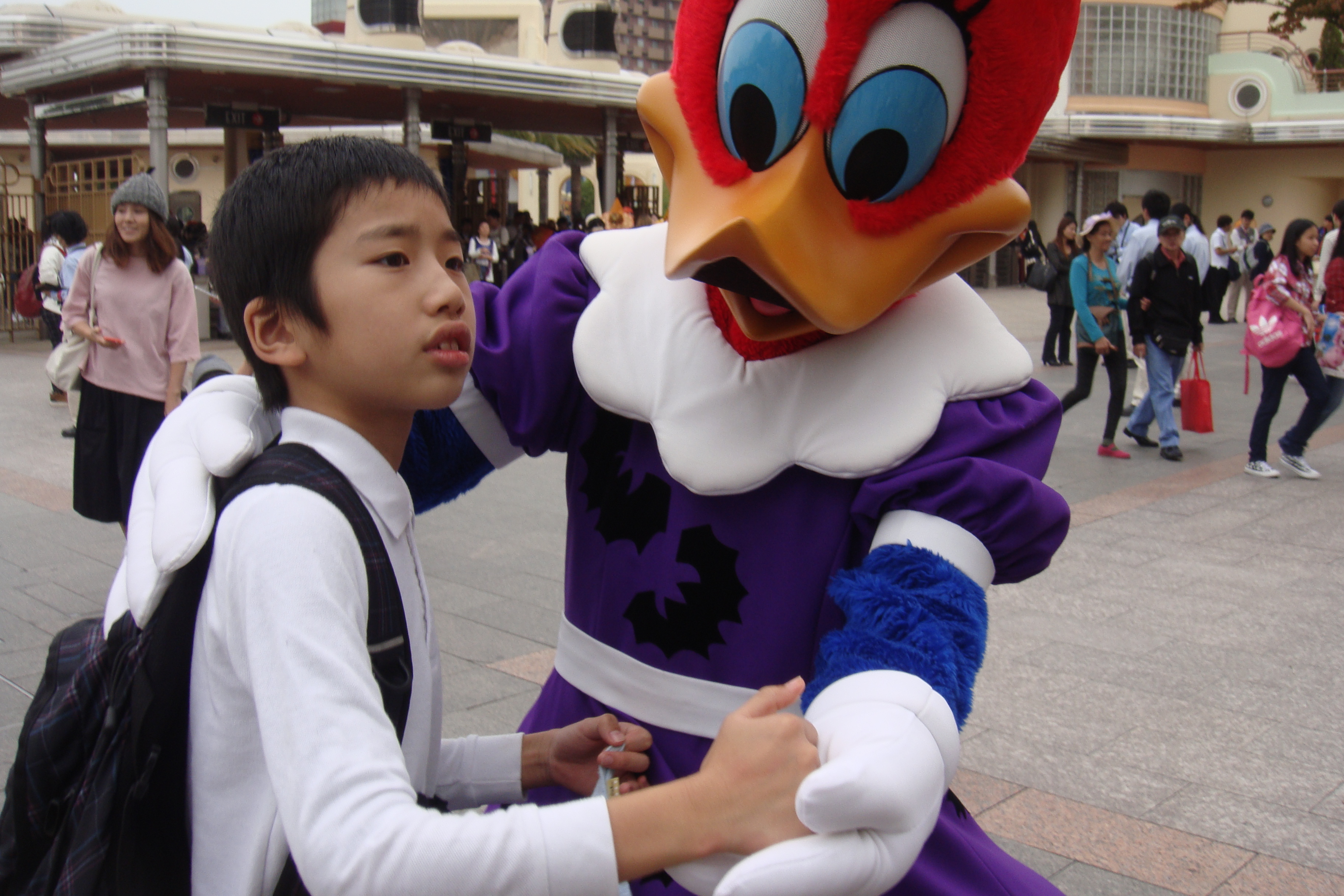 DSC06664