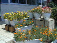 ���֑O�̉�