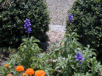 �u���[�T���r�A